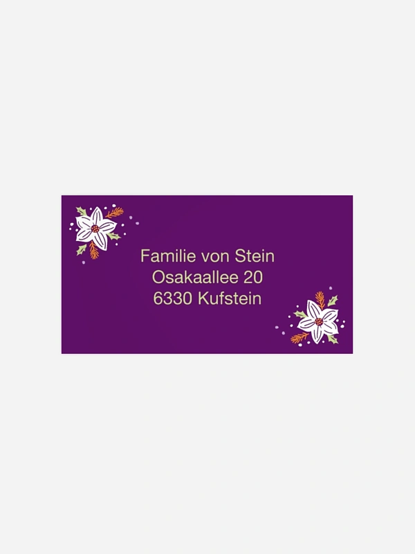 Weihnachtsblume