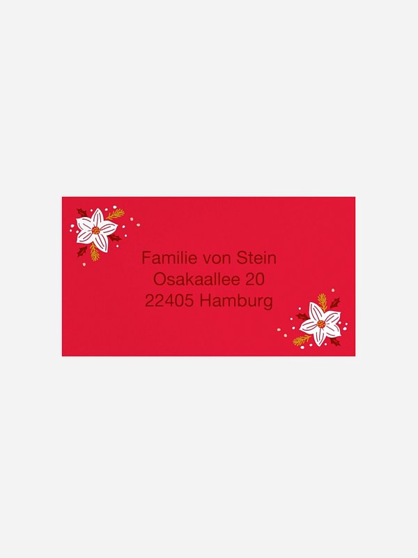 Weihnachtsblume