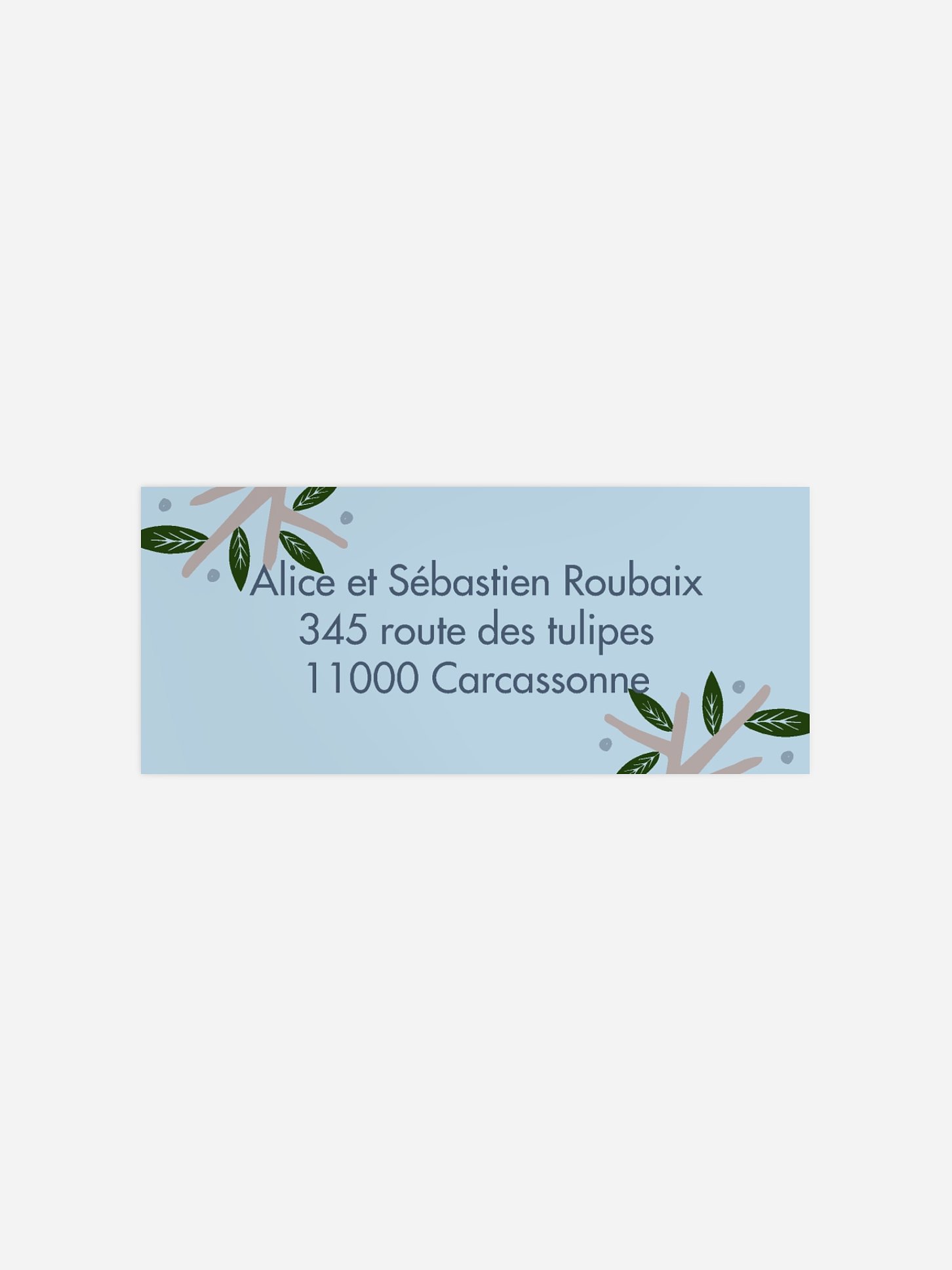 Étiquette expéditeur naissance Petit singe