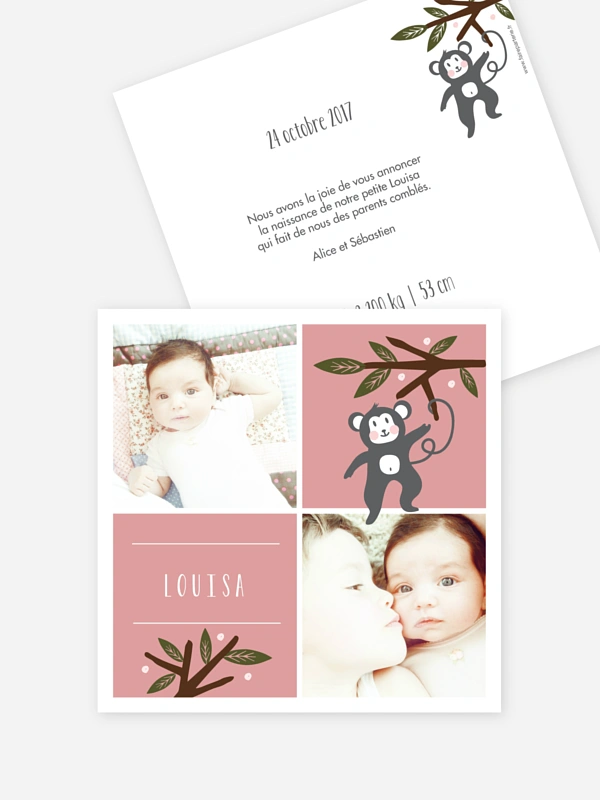 Petit singe