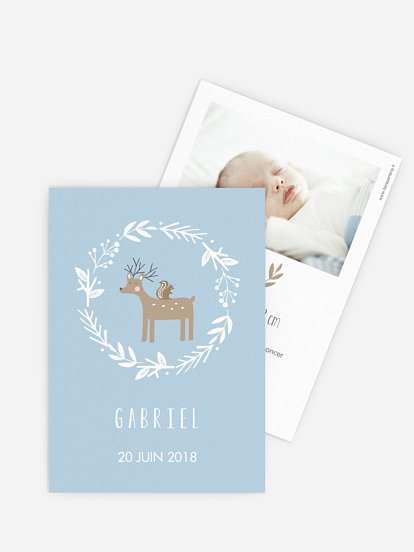 Faire-part naissance Copains de forêt