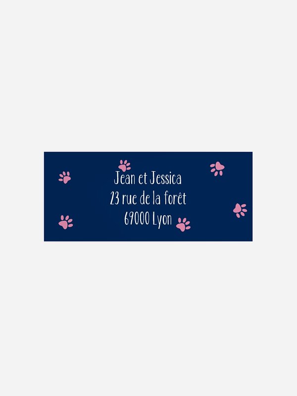 Petit chat