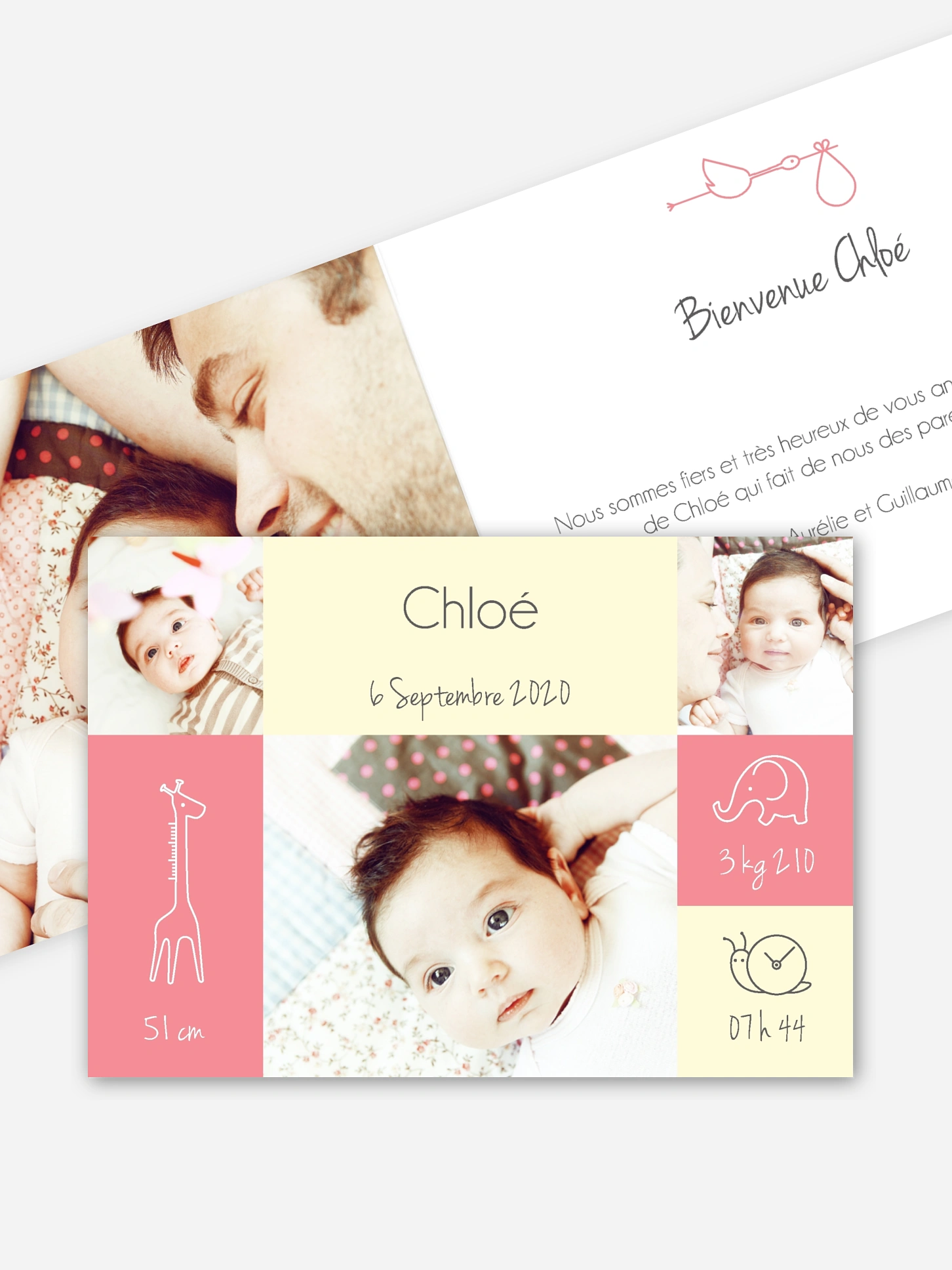 Faire-part naissance Pictos animaux