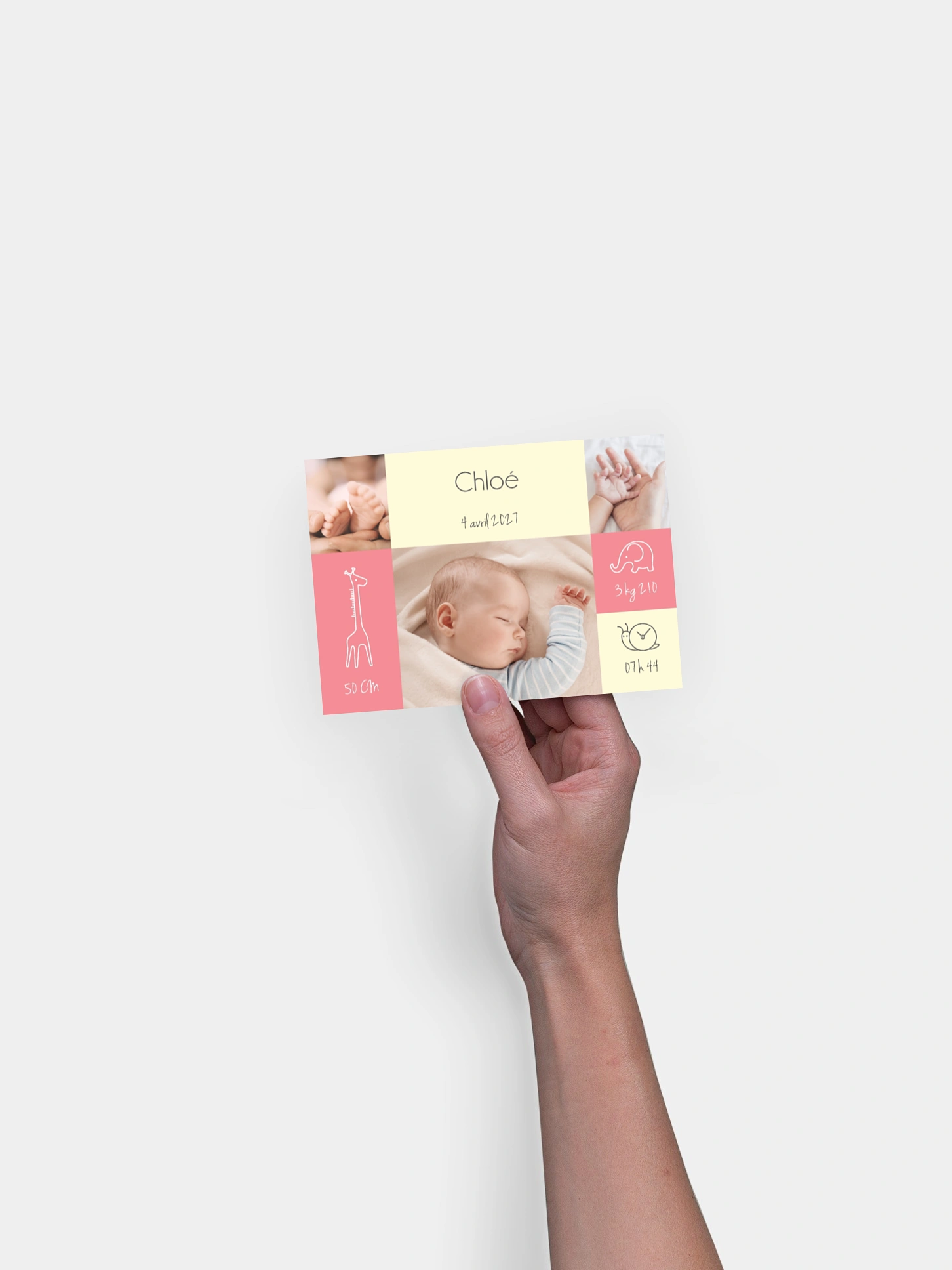 Faire-part naissance Pictos animaux