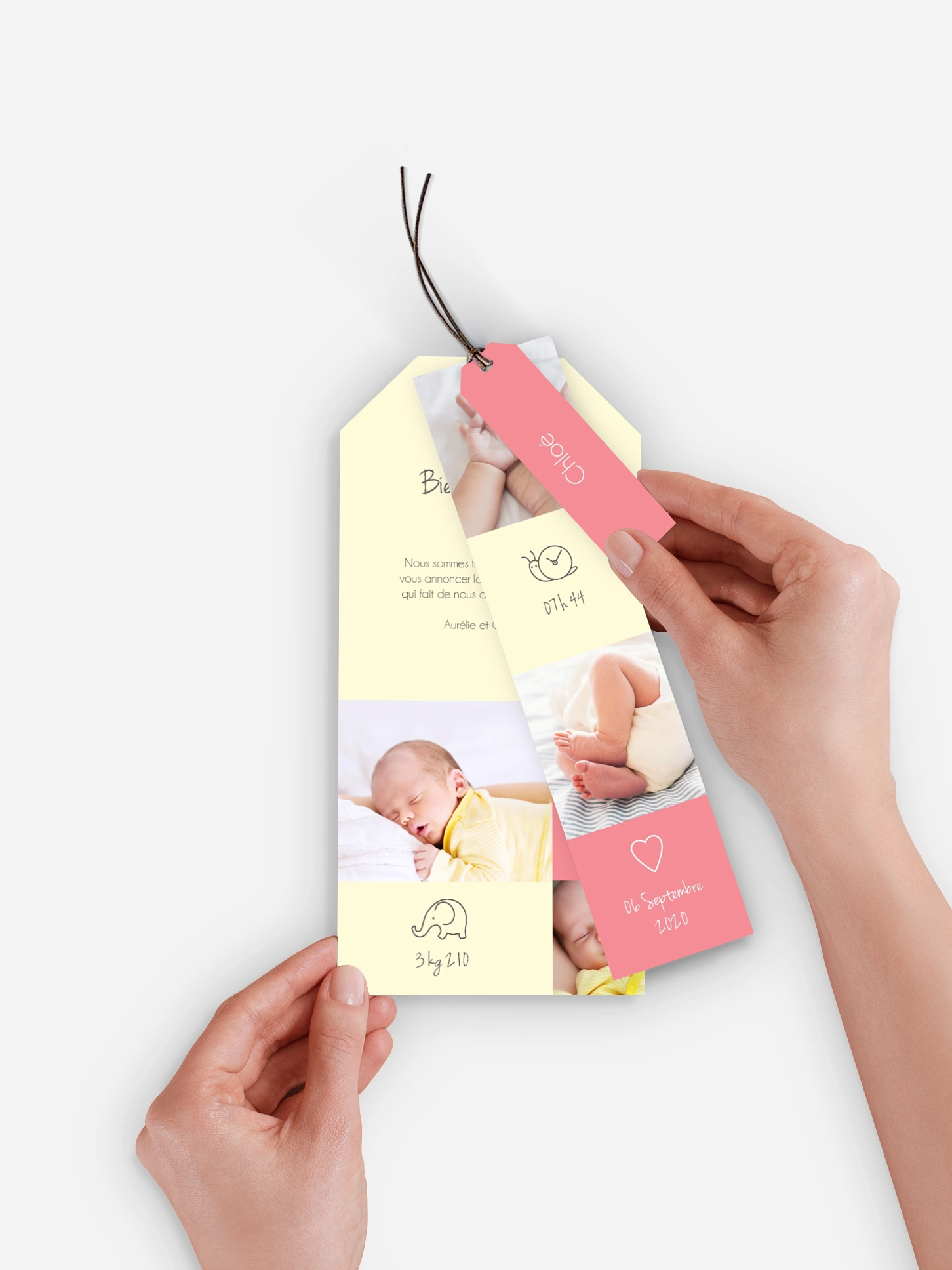 Faire-part naissance Pictos animaux