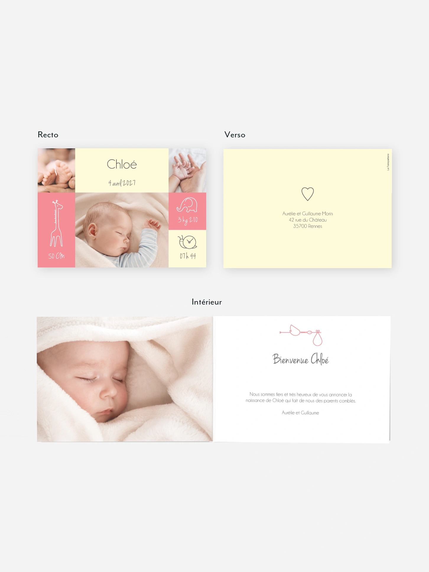 Faire-part naissance Pictos animaux