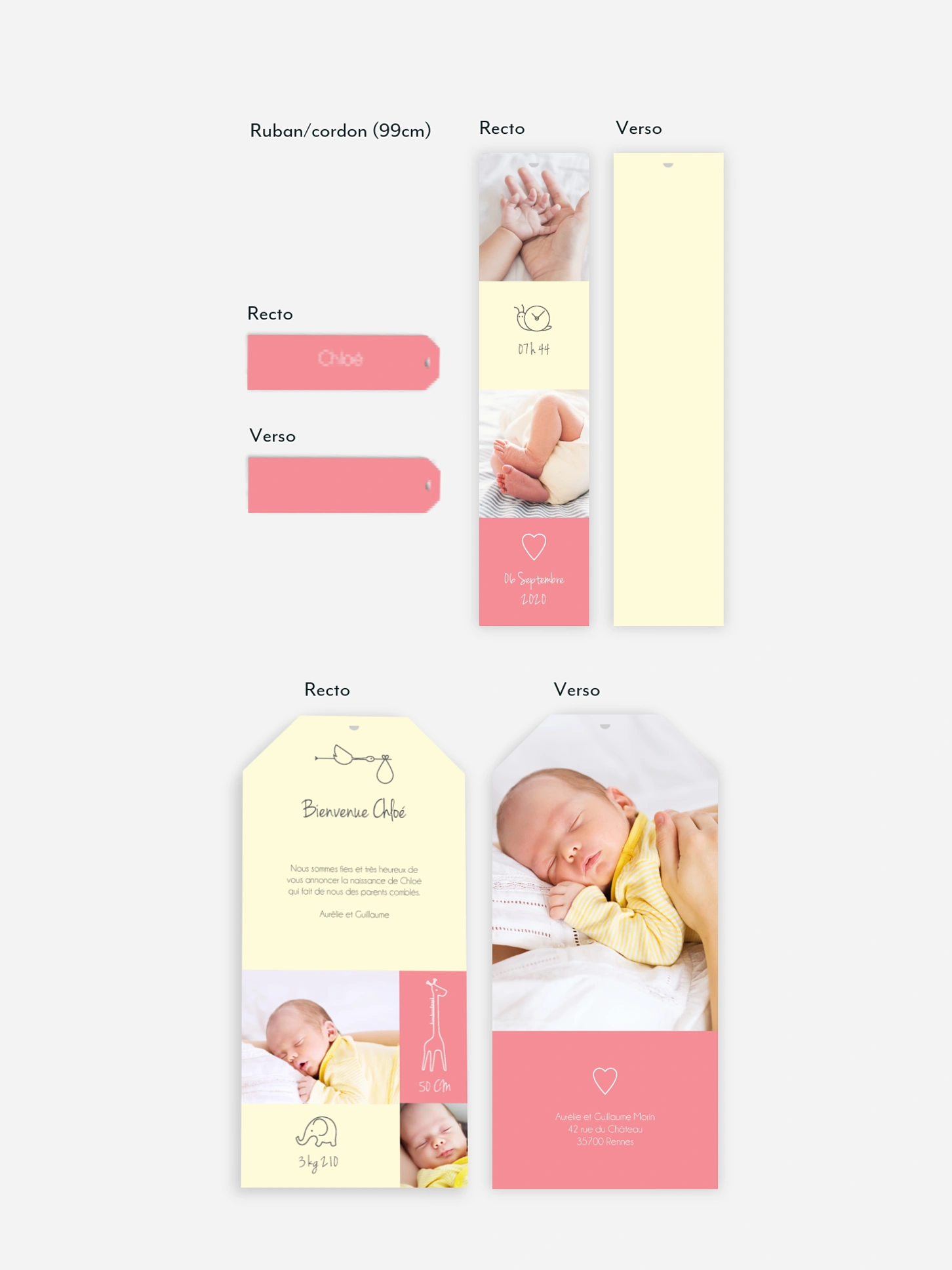 Faire-part naissance Pictos animaux