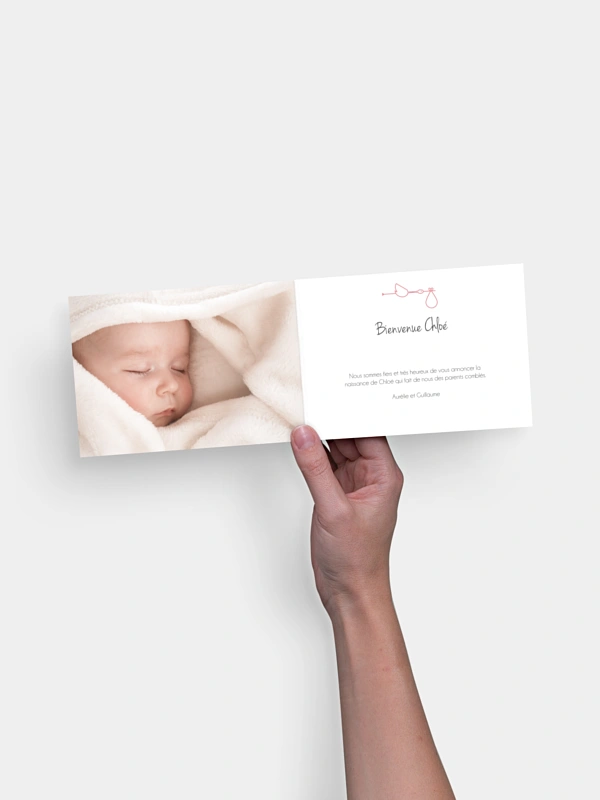 Faire-part naissance Pictos animaux