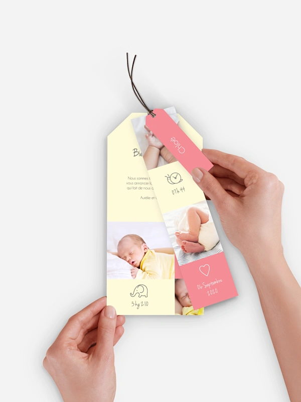 Faire-part naissance Pictos animaux