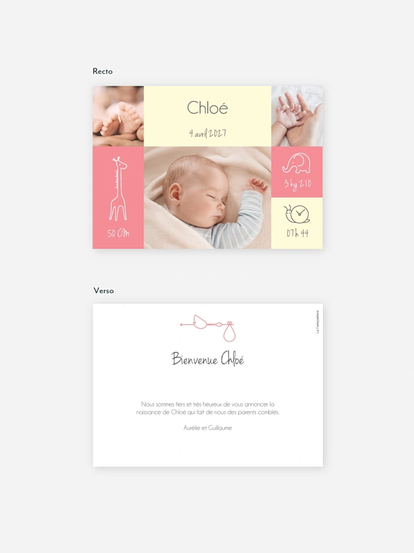 Faire-part naissance Pictos animaux