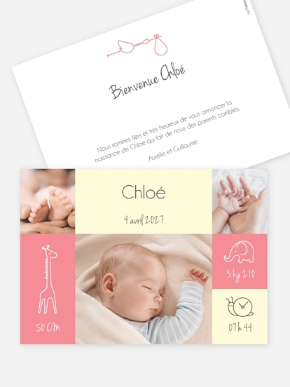 Faire-part naissance Pictos animaux