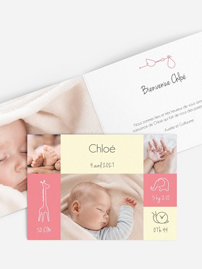 Faire-part naissance Pictos animaux