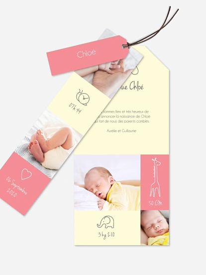 Faire-part naissance Pictos animaux