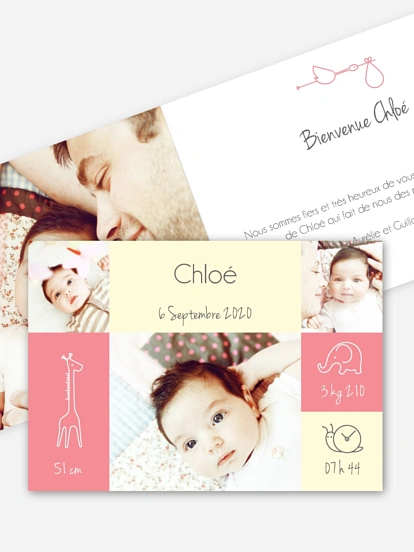 Faire-part naissance Pictos animaux