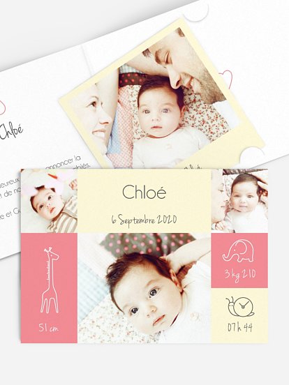 Faire-part naissance Pictos animaux