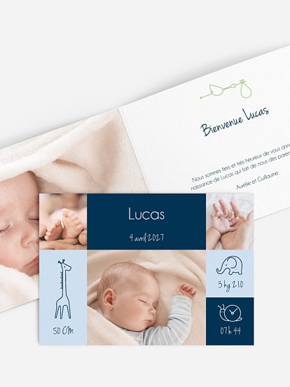 Faire-part naissance Pictos animaux