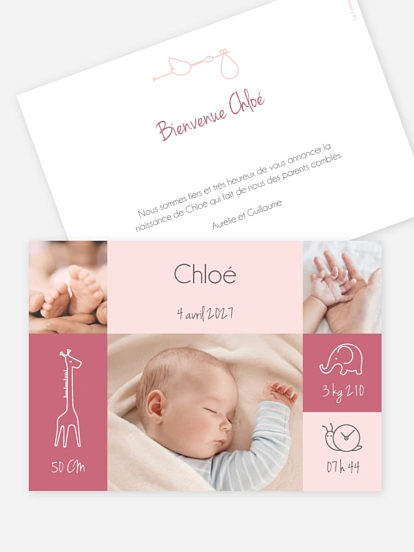 Faire-part naissance Pictos animaux