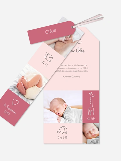 Faire-part naissance Pictos animaux