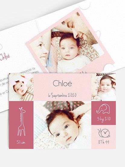 Faire-part naissance Pictos animaux