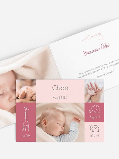 Pictos animaux Pictos animaux