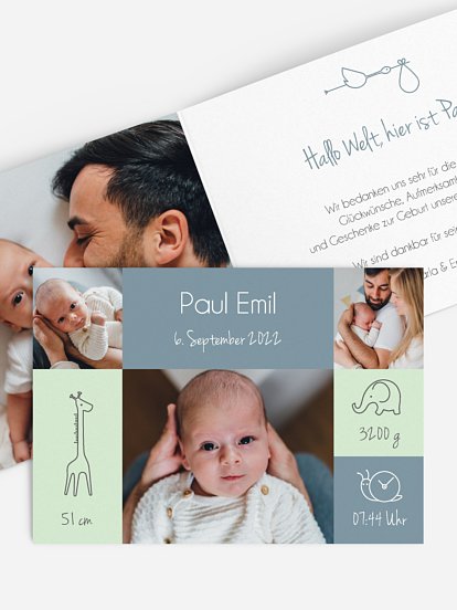 Little Friends Little Friends