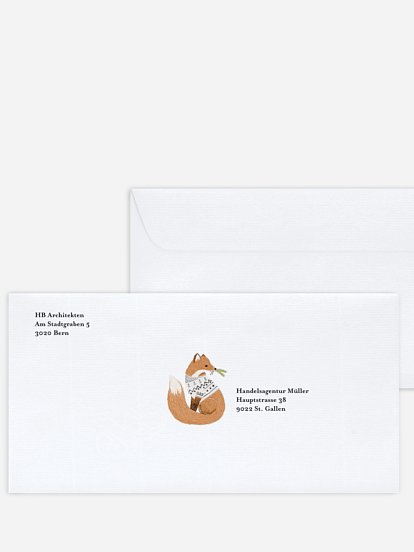 Fuchs im Schnee Fuchs im Schnee