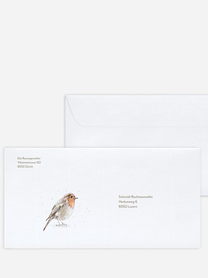 Winter Rotkehlchen Winter Rotkehlchen