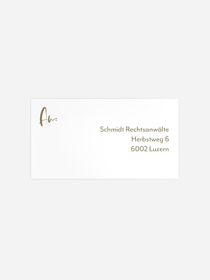 Winter Rotkehlchen Winter Rotkehlchen