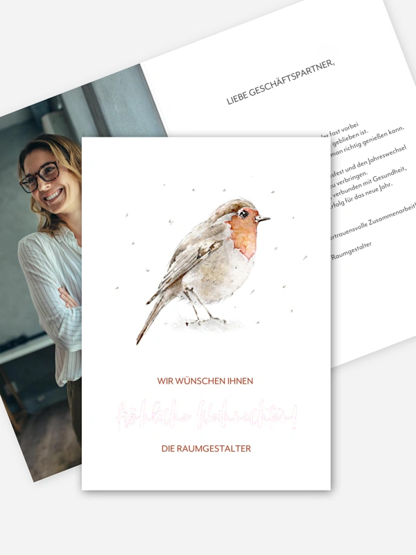 Winter Rotkehlchen