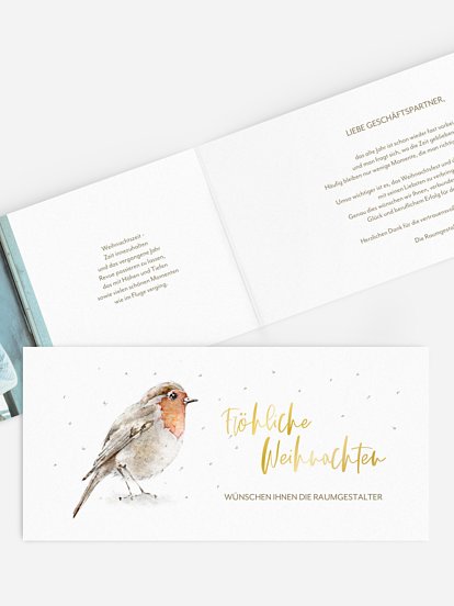 Winter Rotkehlchen Winter Rotkehlchen