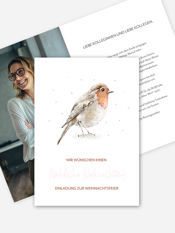 Winter Rotkehlchen