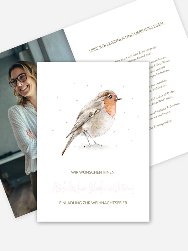 Winter Rotkehlchen