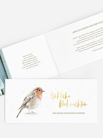 Winter Rotkehlchen Winter Rotkehlchen