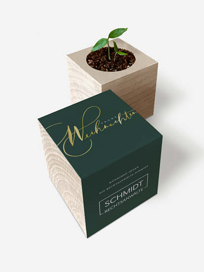 Chili-Pflanze im Holzwürfel Simple Christmas