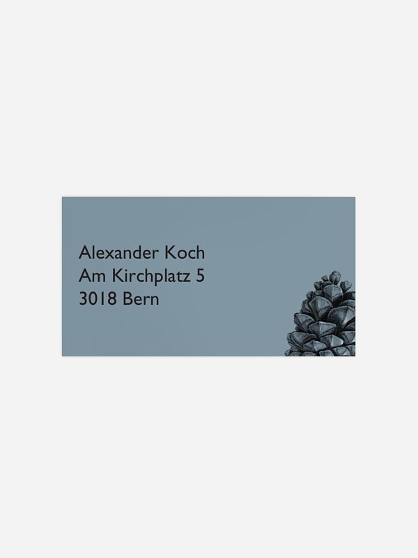 Pinecone Ornament