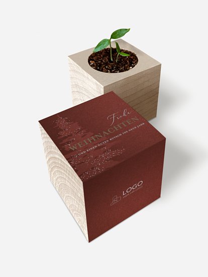 Classy Tree Sternstanze