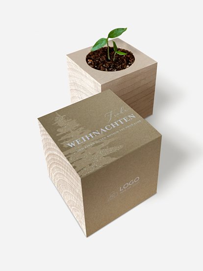 Classy Tree Sternstanze