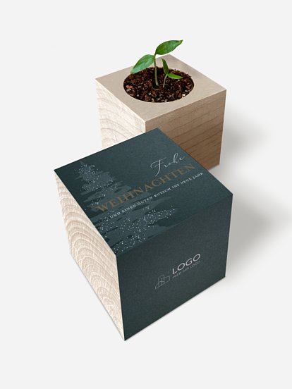 Classy Tree Sternstanze