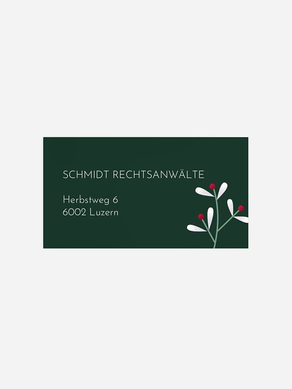 Schnee und Beeren