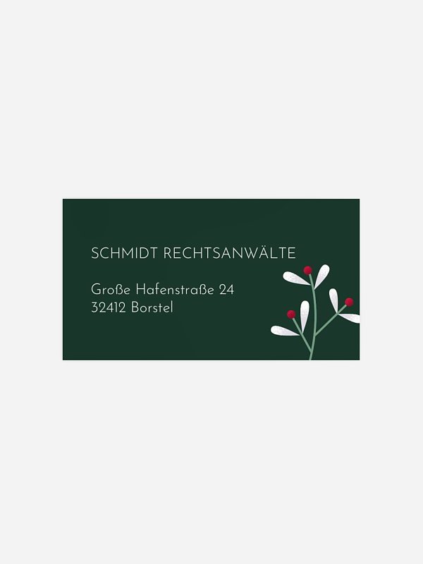 Schnee und Beeren