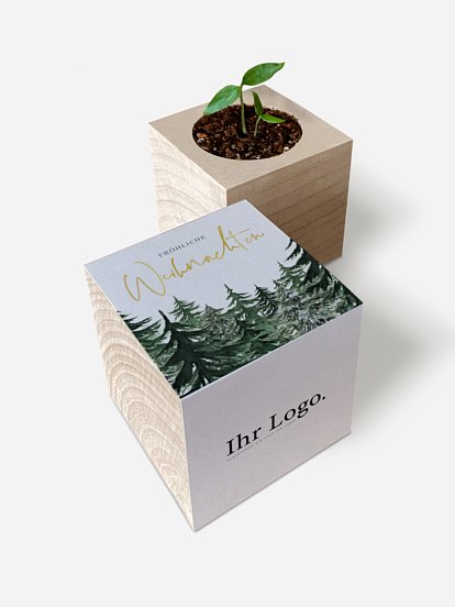 Warm Wintertrees Warm Wintertrees