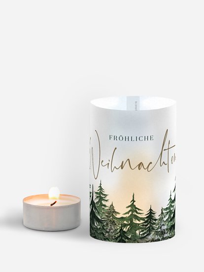 Warm Wintertrees Warm Wintertrees