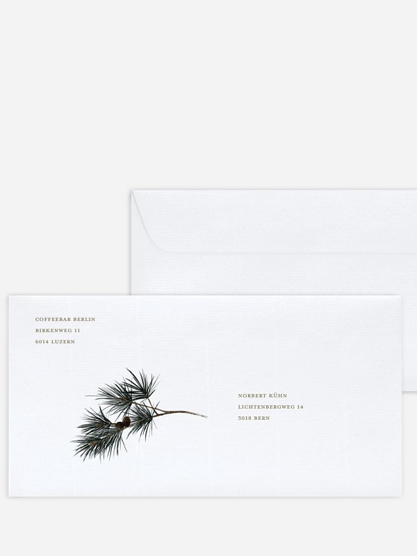 Frosty Pine
