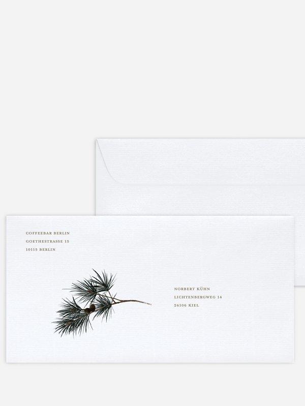 Frosty Pine