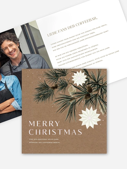 Frosty Pine Frosty Pine