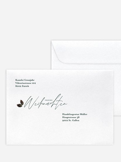 Modern Pine Modern Pine