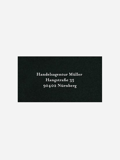 Modern Pine Modern Pine