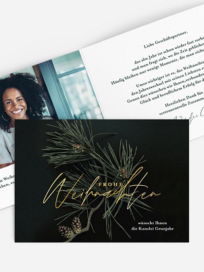 Modern Pine Modern Pine