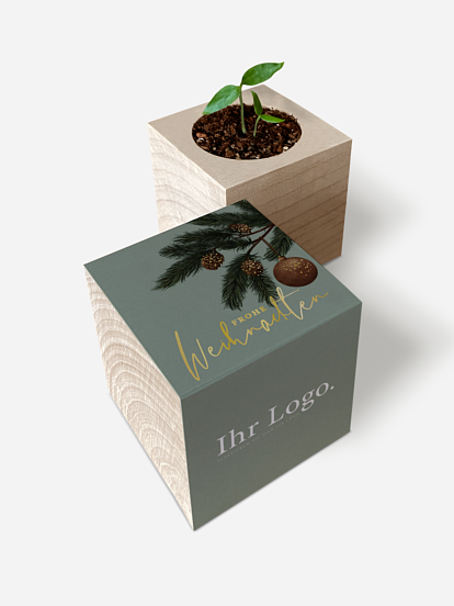 Chili-Pflanze im Holzwürfel Rusty Charm