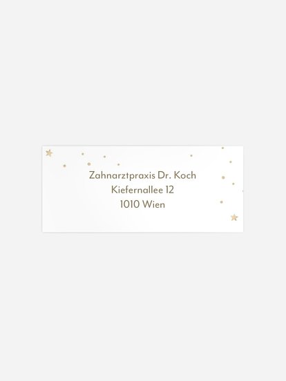 Absenderaufkleber geschäftl. Weihnachten Pinguin Kraftpapier